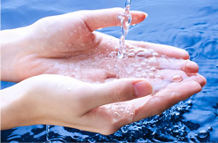 尊龙凯时人生就是搏宗旨