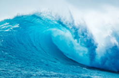 尊龙凯时人生就是搏精神